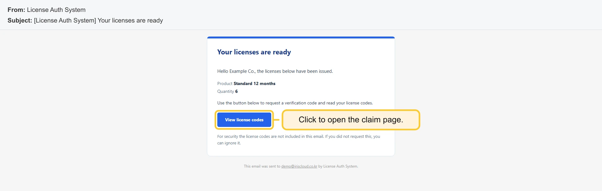 Purchase email from the license server with the View license codes button